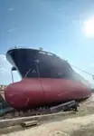 Olopobobo ti ngbe fun tita