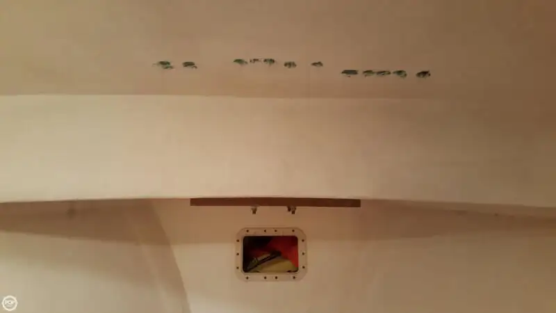 Ọkọ̀ tí ó mú ẹja fún tà