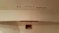 Ọkọ̀ tí ó mú ẹja fún tà