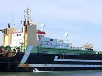 Ọkọ̀ tí ó mú ẹja fún tà