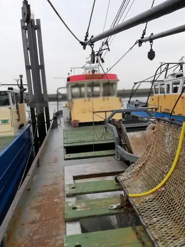 Ọkọ̀ tí ó mú ẹja fún tà