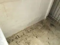Ọkọ̀ tí ó mú ẹja fún tà