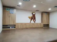 Ọkọ̀ tí wọn fi maa ń gbé ohun èlò tí ó ní ìdáná fún tà