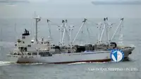 Reefer ọkọ fun tita