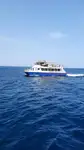 Catamaran fun tita