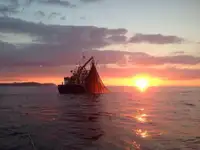 Ọkọ̀ tí ó mú ẹja fún tà