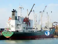 Reefer ọkọ fun tita