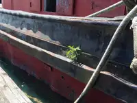 Ọkọ omi ti o fa fún tà
