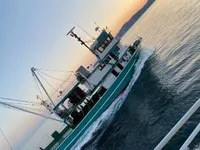 Ọkọ̀ tí ó mú ẹja fún tà