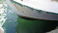 Ọkọ̀ tí ó mú ẹja fún tà