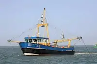 Ọkọ̀ tí ó mú ẹja fún tà