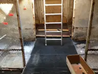 Ọkọ̀ tí ó mú ẹja fún tà