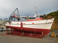 Ọkọ̀ tí ó mú ẹja fún tà