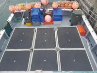 Ọkọ̀ tí ó mú ẹja pọ̀ fún tà
