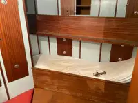 Olopobobo ti ngbe fun tita