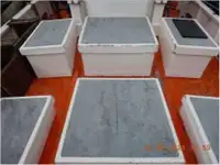 Ọkọ̀ tí ó mú ẹja fún tà