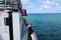 General Cargo/Multi-purpose fún tà