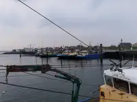 Ọkọ̀ tí ó mú ẹja fún tà
