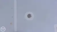 Àtìlẹyìn ìwàdìí fún tà