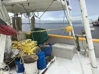 Ọkọ̀ tí ó mú ẹja fún tà