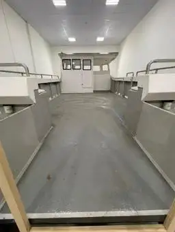Catamaran fún tà