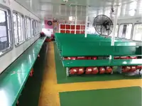 Ọkọ̀ Fẹrrí fún tà