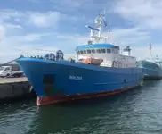 Reefer ọkọ fun tita