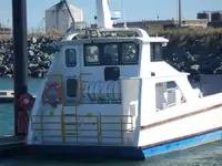 Ọkọ omi Landing, Tank fún tà