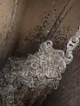 Ọkọ̀ tí ó ń gbé àwọn ohun fún tà
