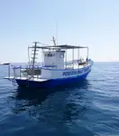 Ọkọ̀ tí ó mú ẹja fún tà