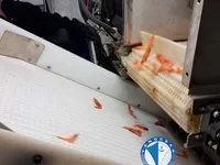 Ọkọ̀ tí ó mú ẹja fún tà
