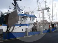 Ọkọ̀ tí ó mú ẹja fún tà