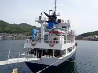 Olopobobo ti ngbe fun tita