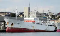 Ọkọ̀ tí ó mú ẹja fún tà