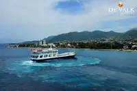 Ọkọ̀ Fẹrrí fún tà