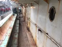 Ọkọ̀ tí ó mú ẹja squid fún tà