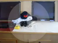Ọkọ̀ tí ó mú ẹja fún tà