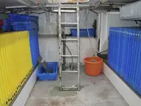 Ọkọ̀ tí ó mú ẹja fún tà