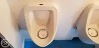 Catamaran fún tà