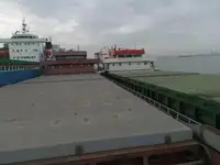 Olopobobo ti ngbe fun tita