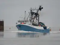 Ọkọ̀ tí ó mú ẹja fún tà
