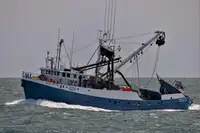 Ọkọ̀ tí ó mú ẹja fún tà