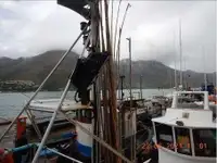 Ọkọ̀ tí ó mú ẹja fún tà