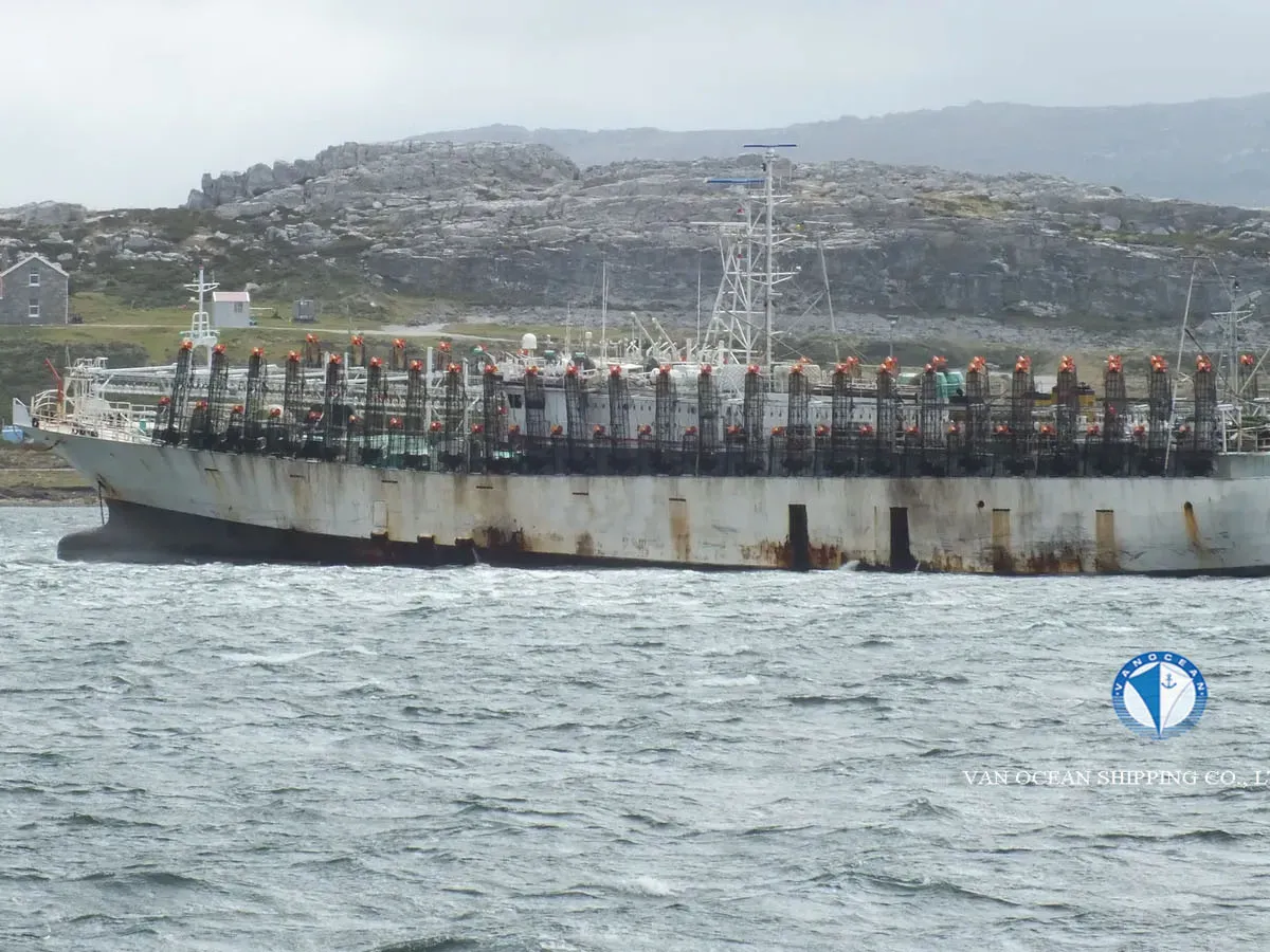 Ọkọ̀ tí ó mú ẹja squid fún tà
