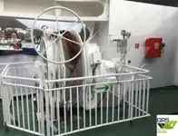 Ọkọ̀ tí ó mú ọkọ̀ rọ̀ fún tà