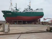 Ọkọ̀ tí ó mú ẹja fún tà