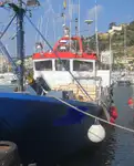 Ọkọ̀ tí ó mú ẹja fún tà