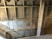 Ọkọ̀ ojú omi tí ó mú àwọn ìkọ́kọ̀ fún tà