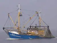 Trawler fun tita