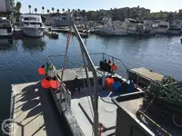 Ọkọ̀ tí ó mú ẹja fún tà
